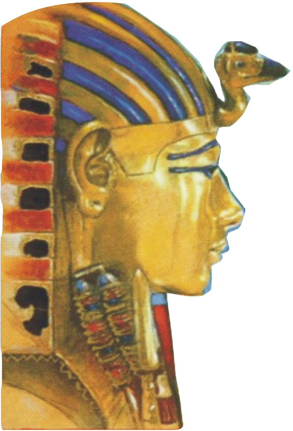 imagealt
